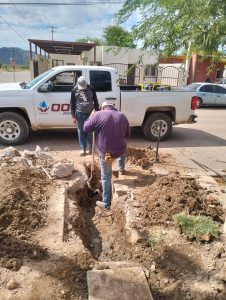 Rehabilitación de descarga de drenaje en calle Puerto Libertad, colonia Infonavit San Diego.