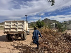 CON BUENA RESPUESTA INICIA LA JORNADA DE DESCACHARRE EN INFONAVIT SAN DIEGO; CONTINÚA ESTE LUNES AL OTRO LADO DE LA CARRETERA.