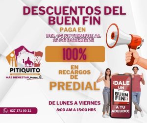 Atención ! DESCUENTOS DEL BUEN FIN.